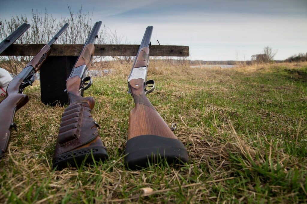 a selection of firearms, particularly shotguns
